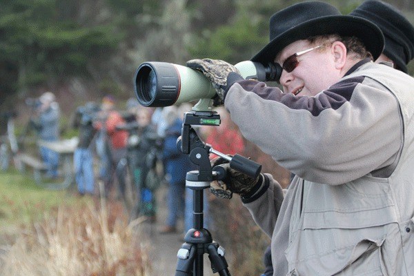 Birders flock to West Beach at Deception Park State Park to look for loons during a Whidbey Audubon Society field trip Saturday