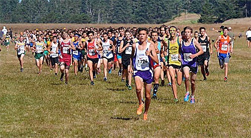 Oak Harbor's John Rodeheffer takes the lead from the beginning on the way to winning the hard course title at the Three Course Challenge Saturday.