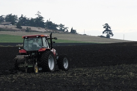 The farming taking place on Ebey’s prairie contributes to the historic character of Ebey’s Landing National Historic Reserve.