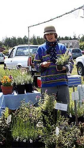 Valerie Reuther of Rosehip farm examines one of the plants she sells during the Coupeville Farmers Market. Cold weather and near-constant rain has delayed the growing season.
