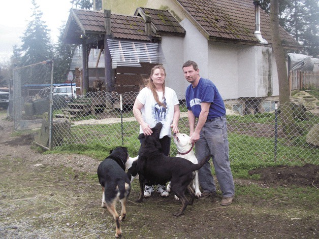 Rural Coupeville residents Cari and Darren Williams have taken in many disabled and unwanted dogs and horses