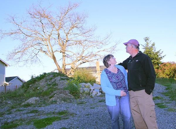 Oak Harbor residents Brian and Ellen Giles visit the Garry oak tree that may be chopped down to make way for housing. They are members of the Oak Harbor Garry Oak Society.