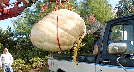 Coupeville resident Phillip Renninger loads his winning 1