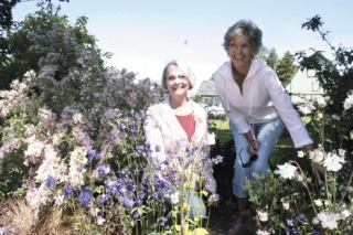 Examining a Weigala florida ‘variegata’ plant in the Noorlag garden are Judy Biddle