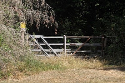 The South Whidbey Parks and Recreation District is looking at purchasing 30 acres near Community Park to create a campground.