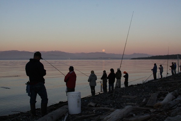 Anglers line up for early morning fishing this summer at the Keystone spit in Coupeville. The shoreline is a popular place for anglers during odd years when pink salmon pass through.