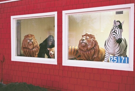 African animals stare out of the windows of Animal House II