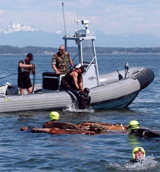 Rescue swimmers with Explosive Ordnance Disposal Mobile Unit 11 pull parachutists out of the water near Whidbey Island Naval Air Station. The parachutists jumped from a C-130 Hercules aircraft during joint training exercise.