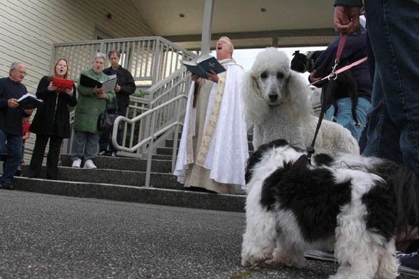Pastor Paul Pluth leads a hymn during the “Blessing of the Pets” ceremony held at St. Mary Mission Catholic Church in Coupeville.