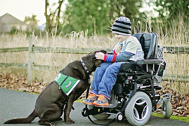 Summit Assist Dogs has provided help for children and adults alike since its founding in 2000. The organization recently received a donation that will help pay for a new facility.