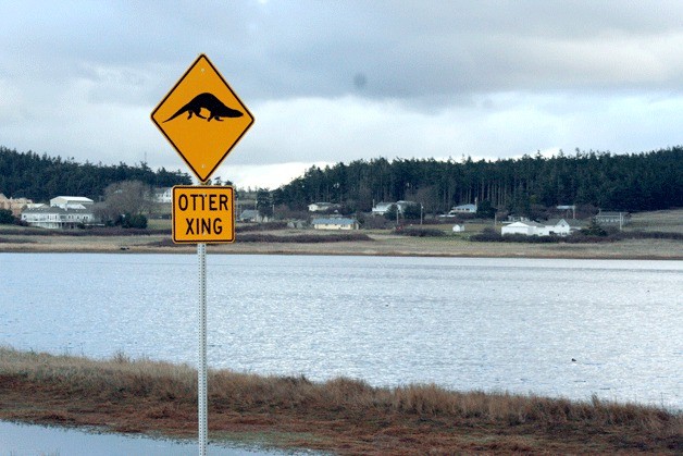 This otter crossing sign can be found at Swan Lake west of Oak Harbor