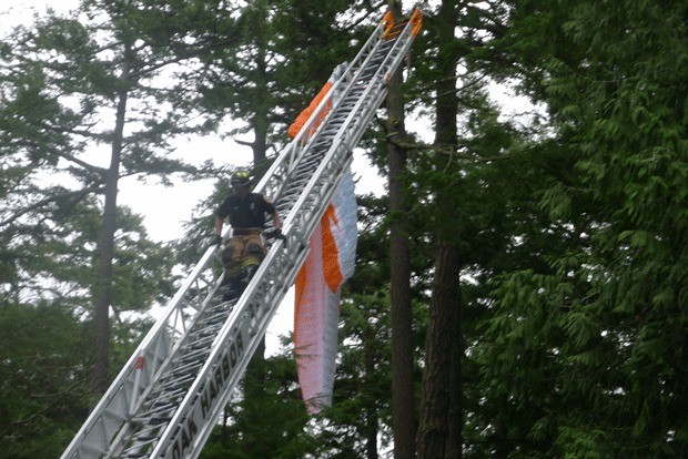 Rescue crews helped remove a paraglider from a tree Wednesday.