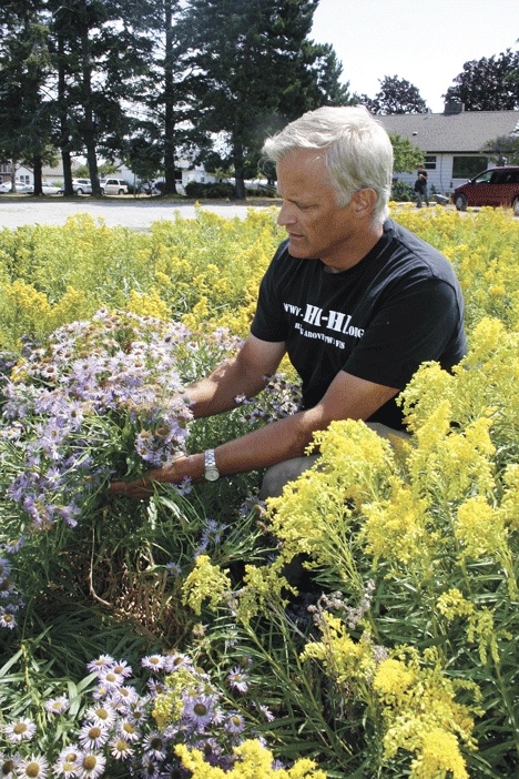 Au Sable Institute director Robert Pelant examines showy fleabane that is being grown in a garden on the property. Classes at the Institute are starting again after being suspended for financial reasons.