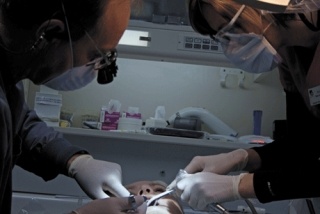 Dr. Timothy Wezeman numbs patient Steffanie Obitz’s gums before he fills a cavity as dental assistant Kerri Brown lends a hand with suction.