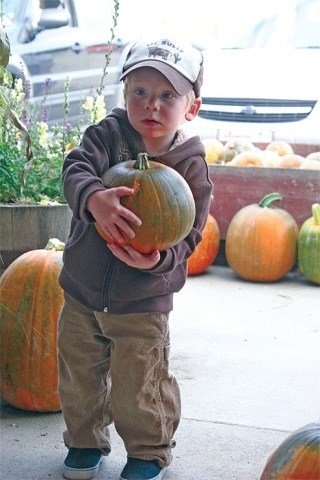 Two-year-old Nick Adams carries a pumpkin he picked Sunday at Dugualla Bay Farms on Highway 20 north of Oak Harbor. The 84-acre Dugualla Bay Farms started selling pumpkins Oct. 1 and will continue selling them through Nov. 2. In addition to the pumpkin patch