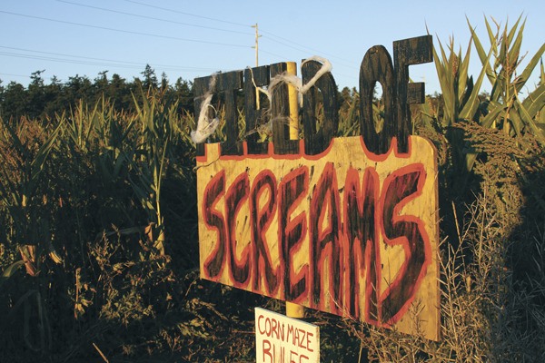 The Haunting of Coupeville starts today with a month of Halloween events including a corn maze and haunted corn maze