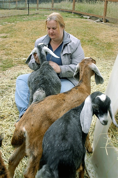 Vicky Brown checks up on some of her younger goats that were recently weaned from their mothers.