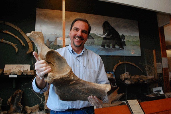 Island County Historical Society Museum Director Rick Casetellano holds up a wooly mammoth bone. The museum will be hosting its seventh annual Mammoth Day in Coupeville this Saturday
