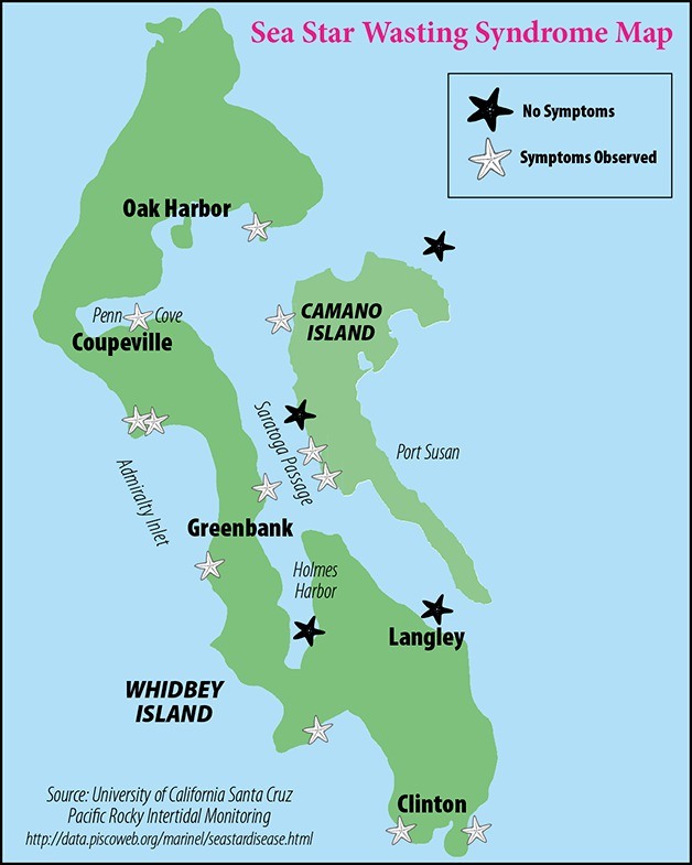 This map shows the locations on Whidbey and Camano islands where apparently diseased starfish have been discovered. Below