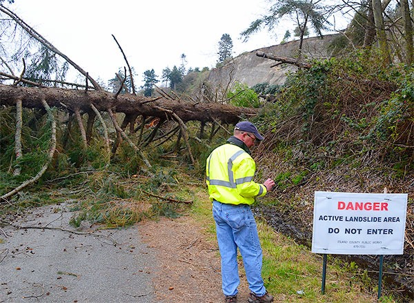 Island County Public Works Director Bill Oakes surveys the scene of the Ledgewood landslide in 2013.