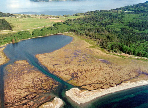 The Navy is considering alternatives for addressing potential hazards at Lake Hancock in Central Whidbey. It’s the site of a former target range.