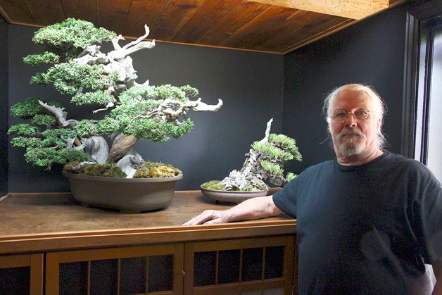 Coupeville resident John Antonia creates preserved bonsai trees using preserved evergreen foliage and weathered wood.
