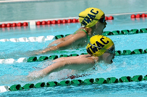 The NWAC’s Molly Vagt