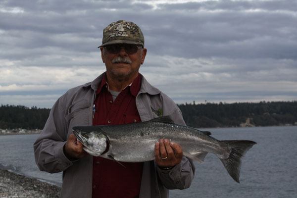Bruce Silvia of Coupeville shows off a silver salmon he caught at Driftwood Park near the Keystone Spit in late September of 2015. There will be no fishing for silvers allowed in most of Puget Sound in 2016
