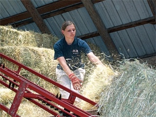 Alyssa Hower from Oak Harbor tosses hay to get ready for the Farm Tour. She’s a friend of the Jack and Wendy Rawls family who own and operate A Knot in Thyme on North Whidbey.