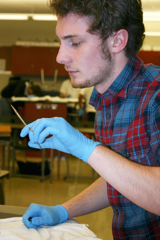 Senior Christian Chambers examines a piece of evidence he found on a T-shirt in his forensics class at Coupeville High.