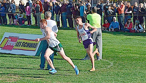 Oak Harbor's John Rodeheffer (purple shorts) heads around a turn on his way to finishing fourth in the state 3A cross country meet.