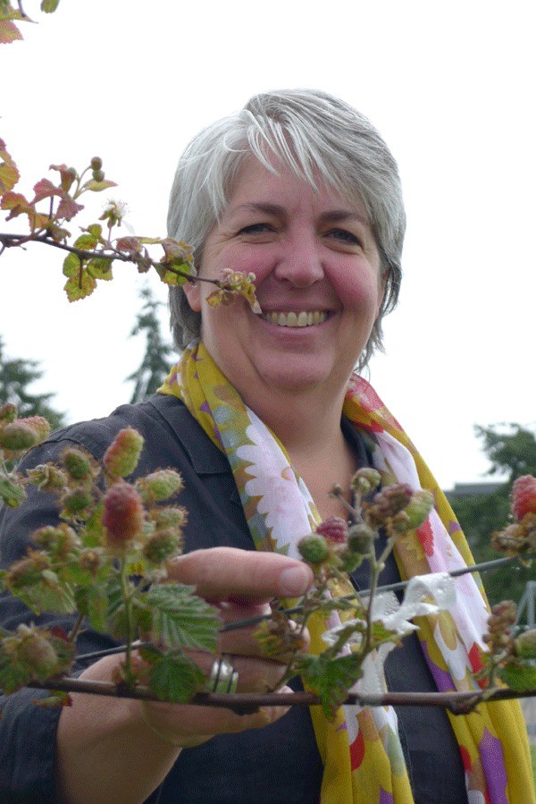 Greenbank Farm Manager Judy Feldman shows a loganberry growing in the field at the publicly owned facility. The loganberry will be celebrated at a festival this weekend.