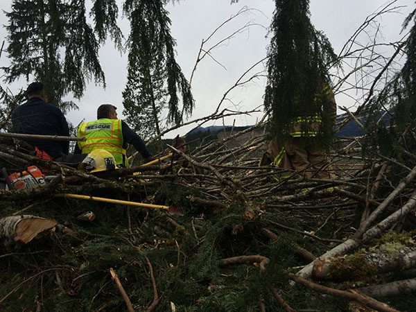 The Whidbey Island Naval Air Station Search and Rescue team search through mudslide debris in Oso Saturday.