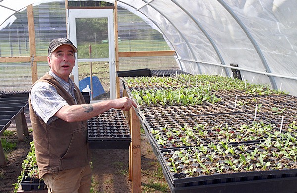 Farm manager Paul Houser shows off vegetable starts in the farm’s greenhouse.