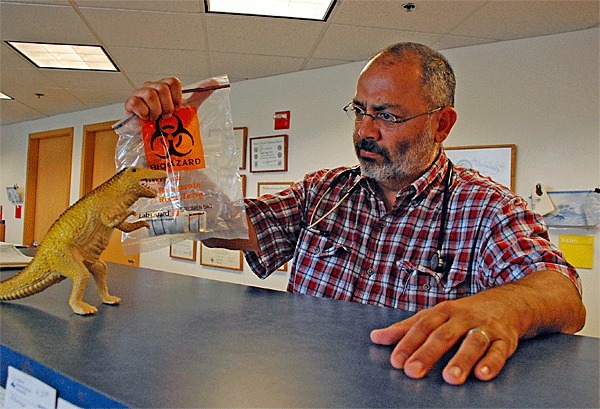 Pediatrician Gabe Barrio pretends to feed a skin biopsy to a toy dinosaur at his office. Barrio is being nationally recognized for his role with Whidbey General Hospital’s cancer program.