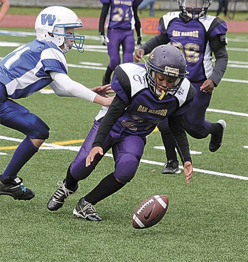 The Cougars' Malachai Rainey secures an onside kick in Saturday's semifinal game in Sedro-Woolley.