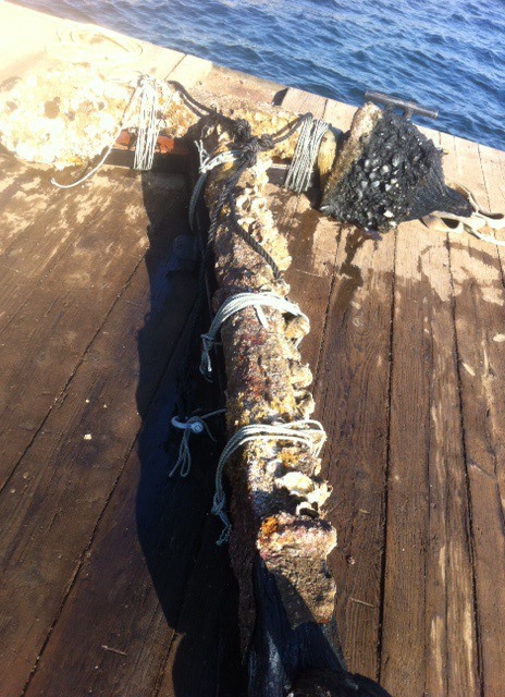 This photo shows the anchor brought up from the water on the west side of Central Whidbey