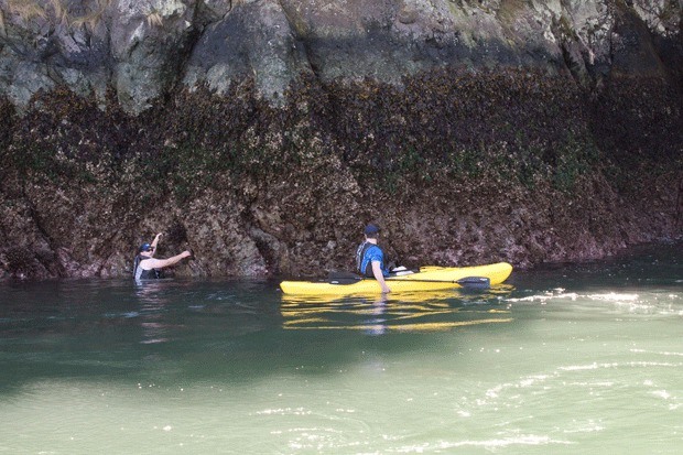 A man who fell out of his kayak clings to the rock face at Deception Pass Saturday.