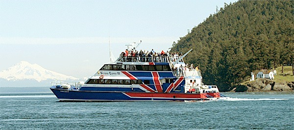 The Victoria Clipper III will spend its weekends next spring transporting whale watchers to Saratoga Passage to view the annual migration of the gray whales. The boat is scheduled to stop for two hours in Coupeville for lunch.