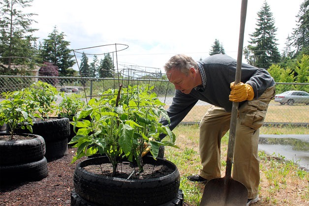 Pastor Mikkel Hustad from St. Peter’s Lutheran Church tends to the church’s community garden.
