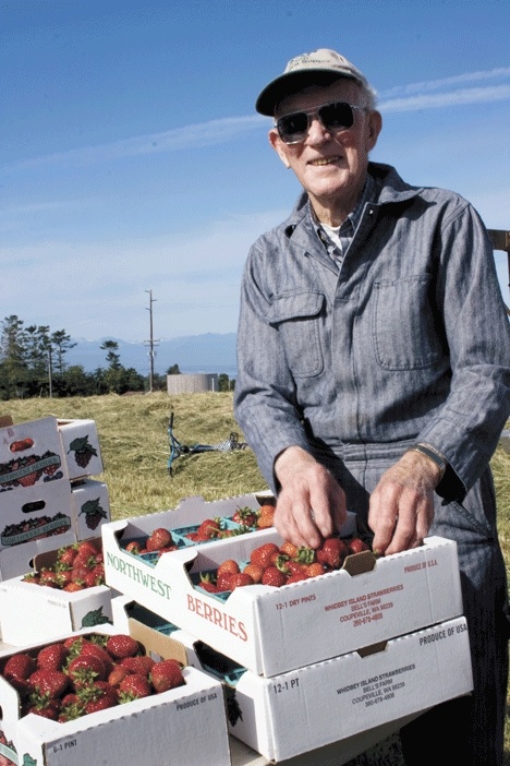 Jerry Bell sorts freshly picked strawberries.