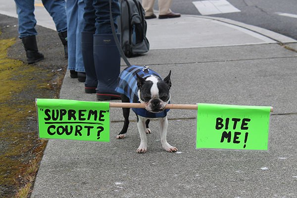 A dog joins 20-something protesters at the corner of Highway 20 and Pioneer Way Saturday to show their outrage at a Supreme Court decision that eliminated a cap on political campaign donations.