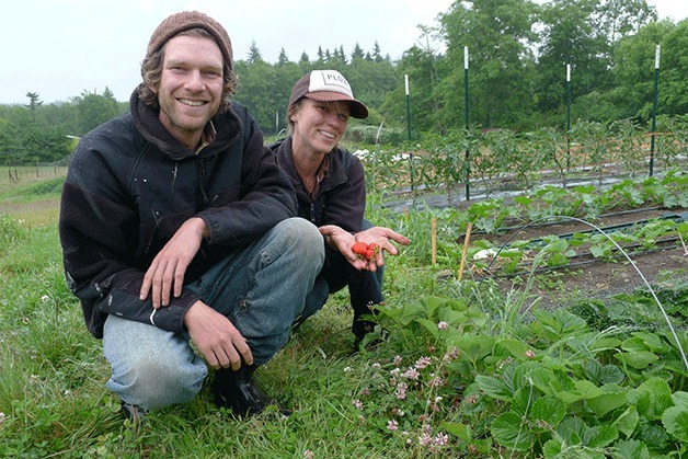 Nathaniel Talbot and Annie Jesperson show the strawberries they are growing at Deep Harvest Farm