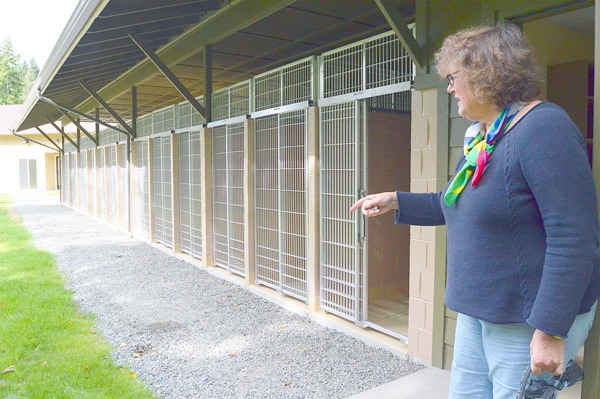 Claire Creighton shows some of the outdoor space provided for dogs at the new WAIF shelter.