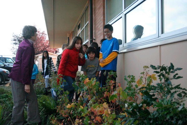 Crescent Harbor Elementary School teacher Bobbie Cane points out how well the plants in their rain garden are growing. Looking on are students Gabrielle Luffman