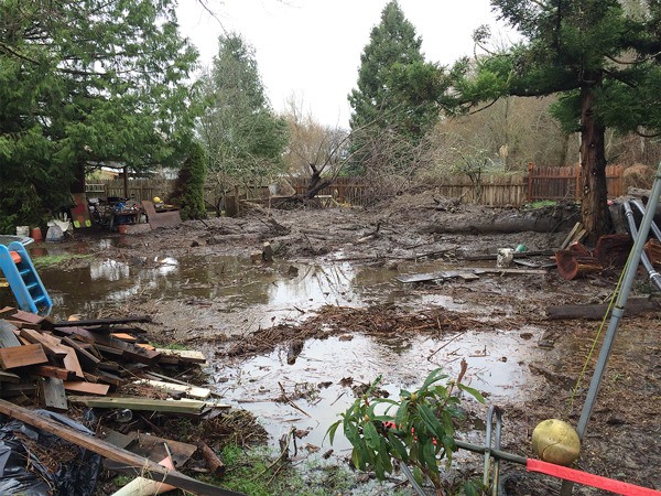 A mudslide that brought two evergreen trees and debris wrecked the back yard of a Maxwelton Beach home on Jan. 22. Water damage to the yard stemmed from a heavy rainstorm that produced over two inches of rain on Jan. 21-22.