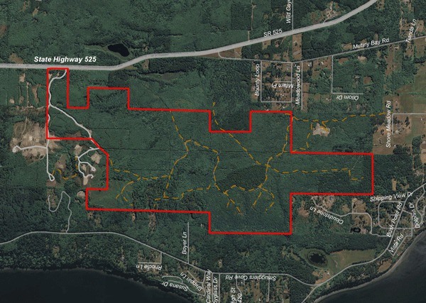 The Trillium woods property