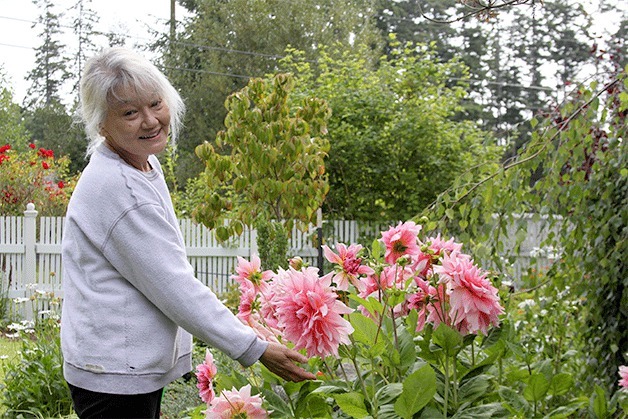 Kay Parsons spends a little time every day in her garden tending to plants such as dahlias. Parsons is one of 32 artists featured in the Whidbey Working Arts Summer Art Tour this weekend and next.