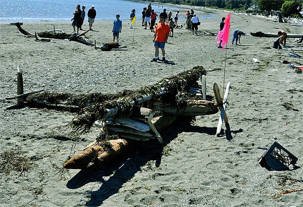 This driftwood and seaweed airplane sculpture was a favorite at a past Driftwood Day. Everyone is welcome to compete Saturday
