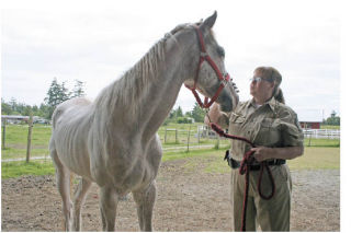 Island County Animal Control Officer Carol Barnes spends some quality time with Maverick